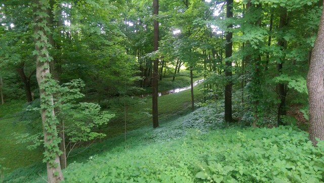 view of landscape featuring a forest view