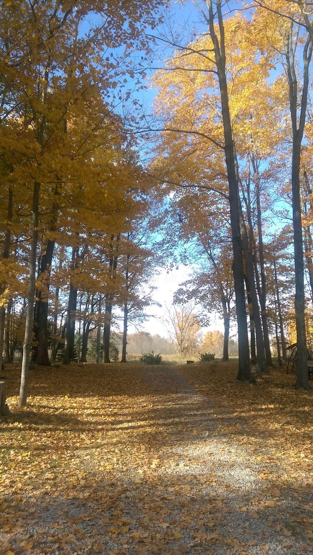 exterior space