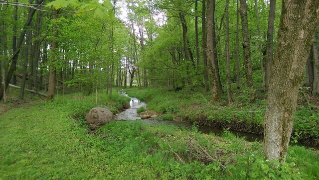 view of nature