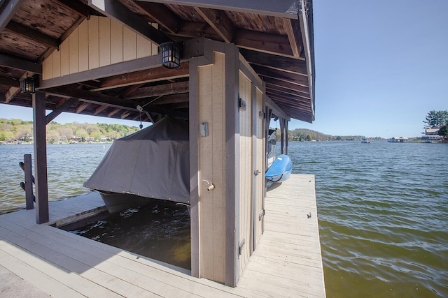dock area with a water view