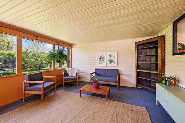 746 Ronson Ave, Columbus, OH 43230 - sunroom with healthy amount of natural light