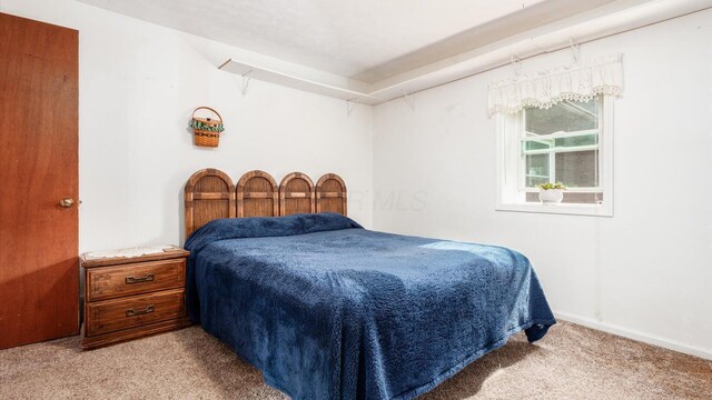 14672 Township Rd Unit 1062, Thornville, OH 43076 - bedroom with carpet flooring