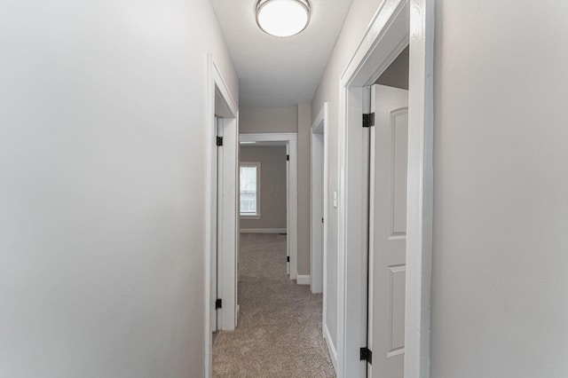 146 E Woodrow Ave, Columbus, OH 43207 - hall featuring light colored carpet and baseboards