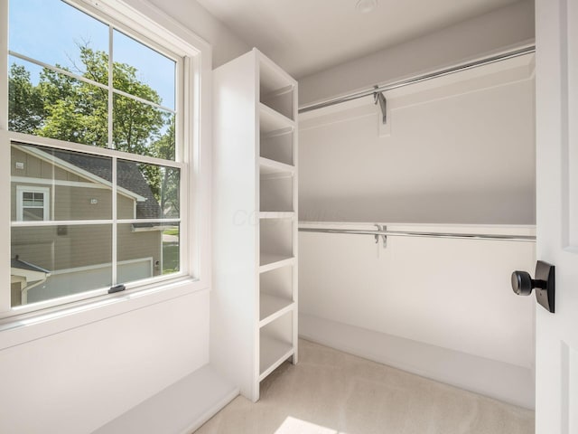 2355 Farleigh Rd, Columbus, OH 43221 - walk in closet with carpet flooring