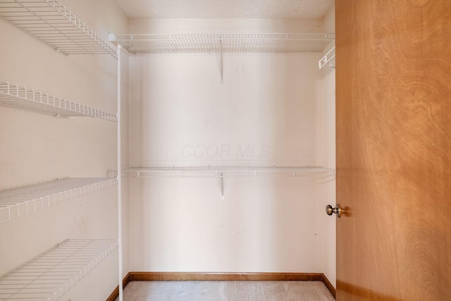 4977 Softwood Ct, Westerville, OH 43081 - spacious closet with carpet