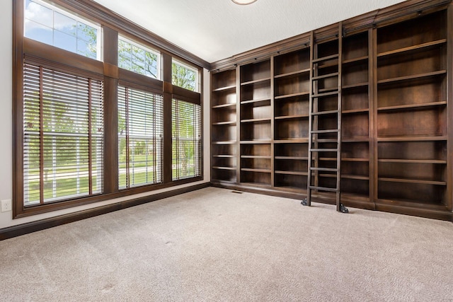 1393 Kearney Way, Delaware, OH 43015 - carpeted spare room with built in shelves