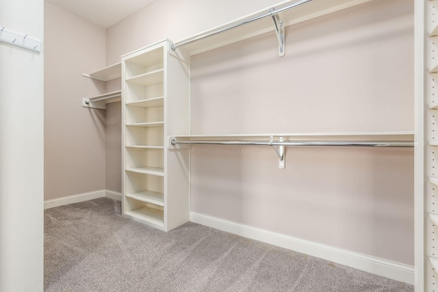 1393 Kearney Way, Delaware, OH 43015 - spacious closet featuring carpet