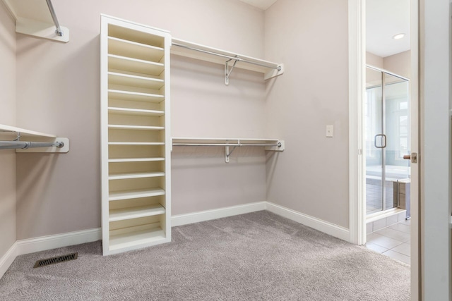 1393 Kearney Way, Delaware, OH 43015 - walk in closet with carpet flooring
