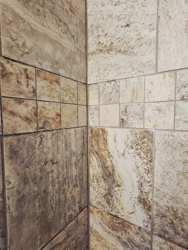 3851 Snow Hill Rd SW, Washington Court House, OH 43160 - detailed view of a tile shower