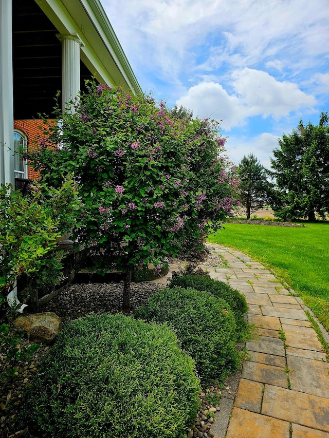 3851 Snow Hill Rd SW, Washington Court House, OH 43160 - view of grassy yard