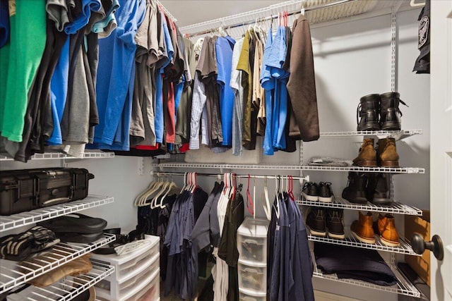 view of walk in closet