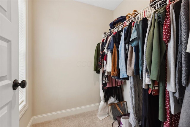 spacious closet with carpet flooring