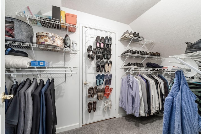 spacious closet featuring carpet flooring