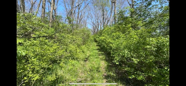8154 Crowl Rd, Degraff, OH 43318