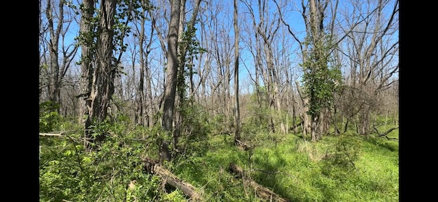 8154 Crowl Rd, Degraff, OH 43318