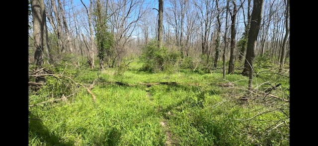 8154 Crowl Rd, Degraff, OH 43318