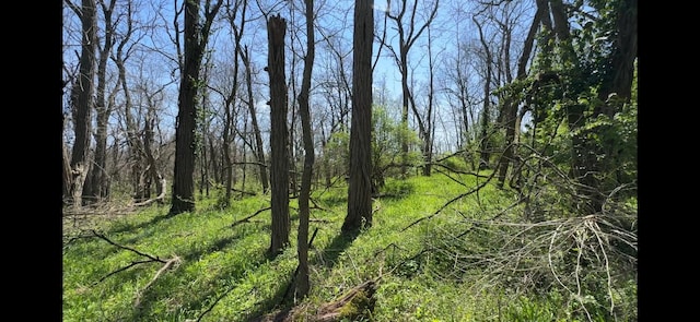 8154 Crowl Rd, Degraff, OH 43318
