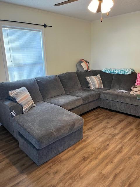 living area featuring wood finished floors and a ceiling fan