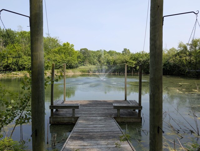 2310 Troy Rd, Delaware, OH 43015 - dock featuring a water view and a view of trees