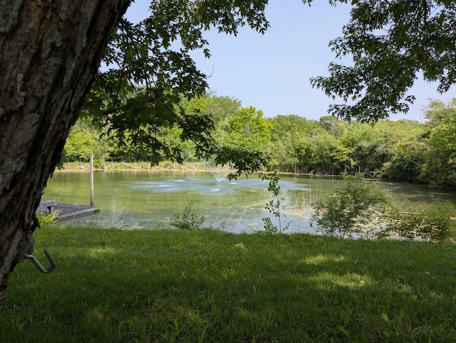 2310 Troy Rd, Delaware, OH 43015 - water view with a forest