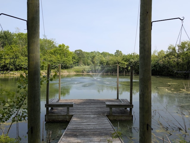 2310 Troy Rd, Delaware, OH 43015 - dock with a water view and a view of trees