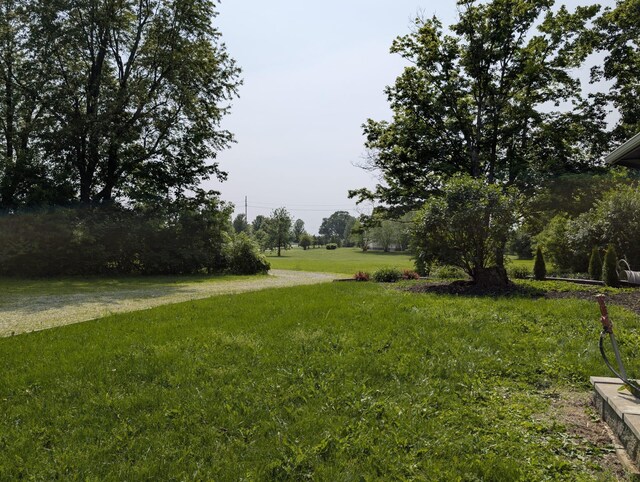 2310 Troy Rd, Delaware, OH 43015 - view of grassy yard