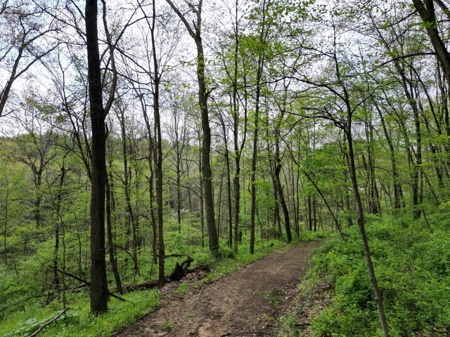 0 Austin Rd, Howard, OH 43028