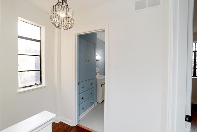 hallway with a healthy amount of sunlight, a notable chandelier, dark wood-style flooring, and visible vents