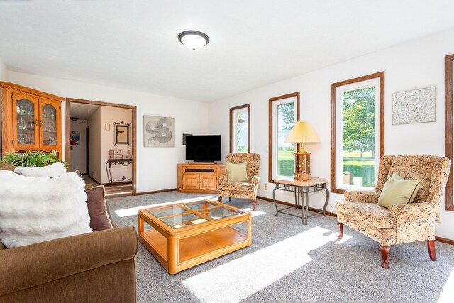 333 Salem Rd, Caledonia, OH 43314 - living room with baseboards and light carpet