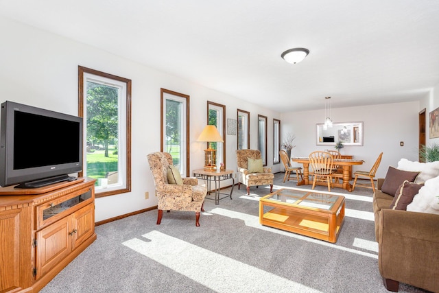 333 Salem Rd, Caledonia, OH 43314 - carpeted living area featuring baseboards