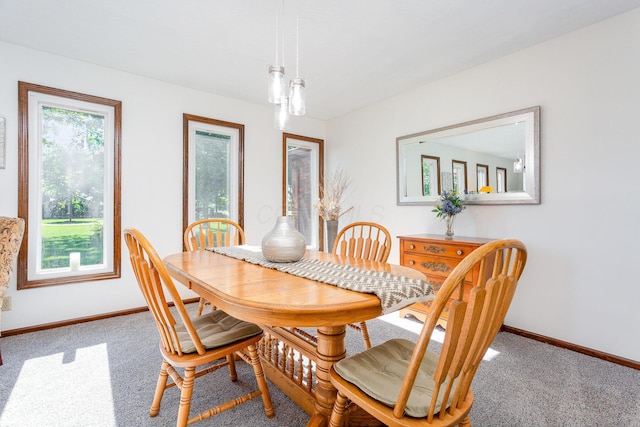 333 Salem Rd, Caledonia, OH 43314 - dining space featuring baseboards and carpet