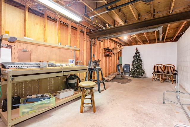333 Salem Rd, Caledonia, OH 43314 - unfinished basement with a workshop area