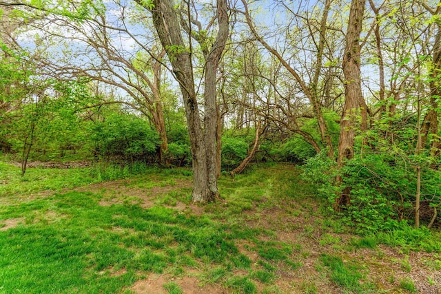 view of landscape with a wooded view