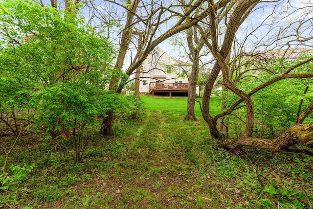 view of yard featuring a wooden deck