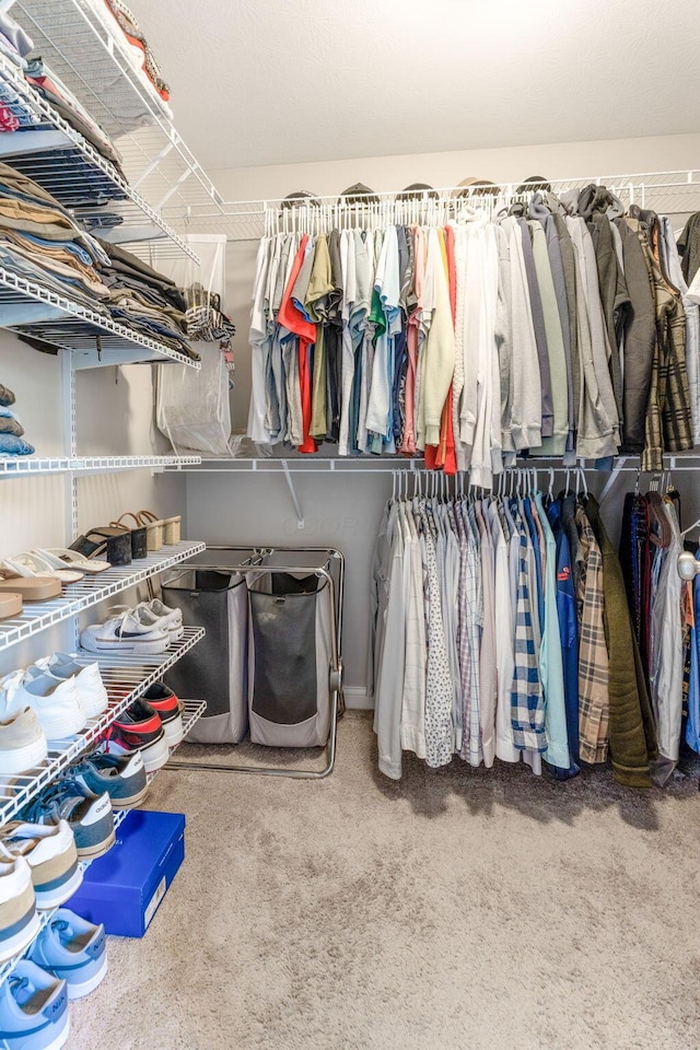 walk in closet featuring carpet