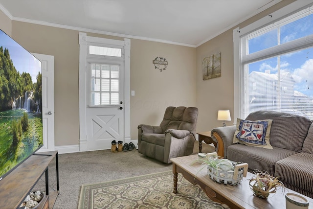 1227 E Chestnut St, Lancaster, OH 43130 - living room featuring carpet floors, baseboards, and ornamental molding