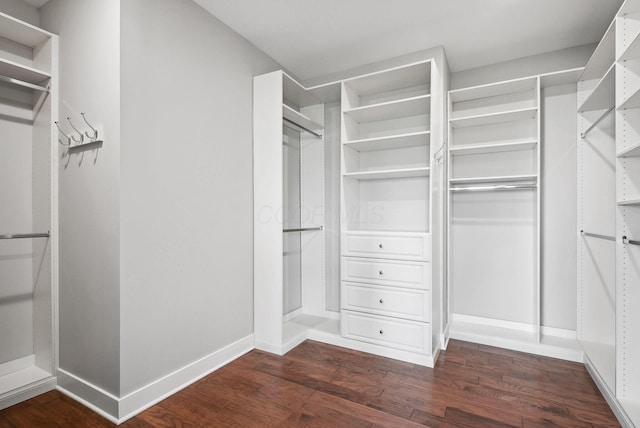 spacious closet with wood finished floors