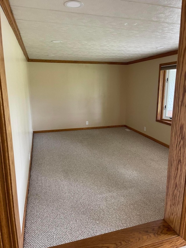 10519 Darby Creek Rd, Orient, OH 43146 - carpeted empty room featuring crown molding and baseboards