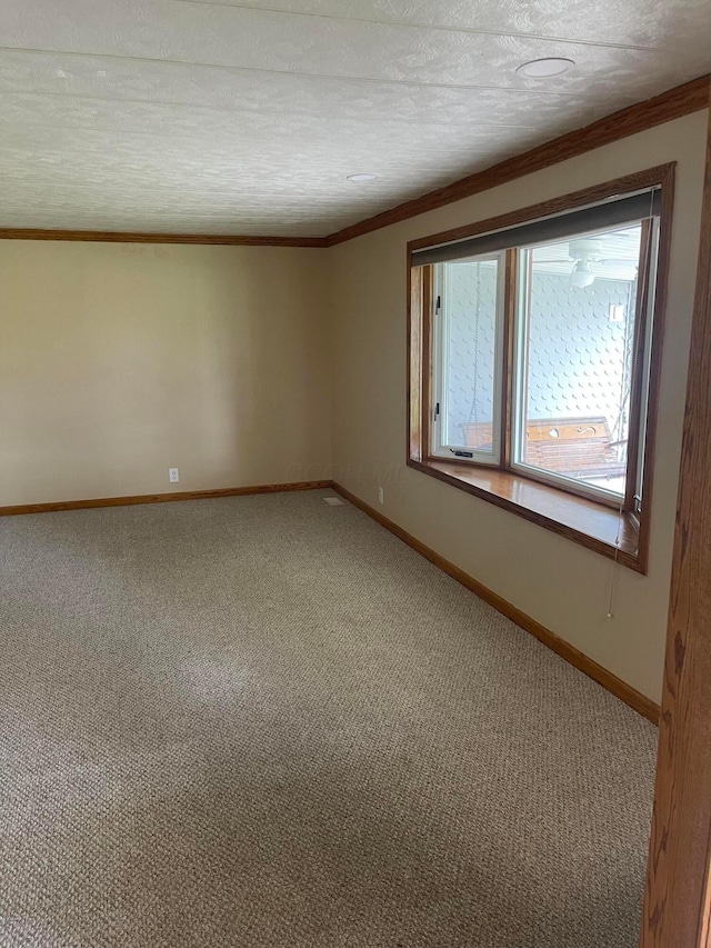 10519 Darby Creek Rd, Orient, OH 43146 - empty room featuring ornamental molding, carpet, baseboards, and a textured ceiling