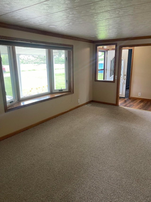 10519 Darby Creek Rd, Orient, OH 43146 - spare room with light colored carpet, baseboards, and ornamental molding