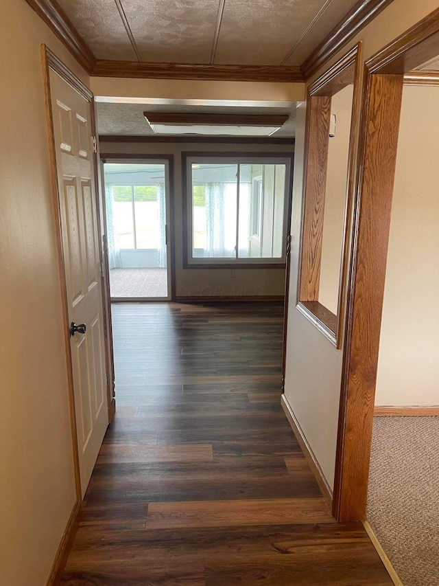 10519 Darby Creek Rd, Orient, OH 43146 - hall with ornamental molding and dark wood-style floors