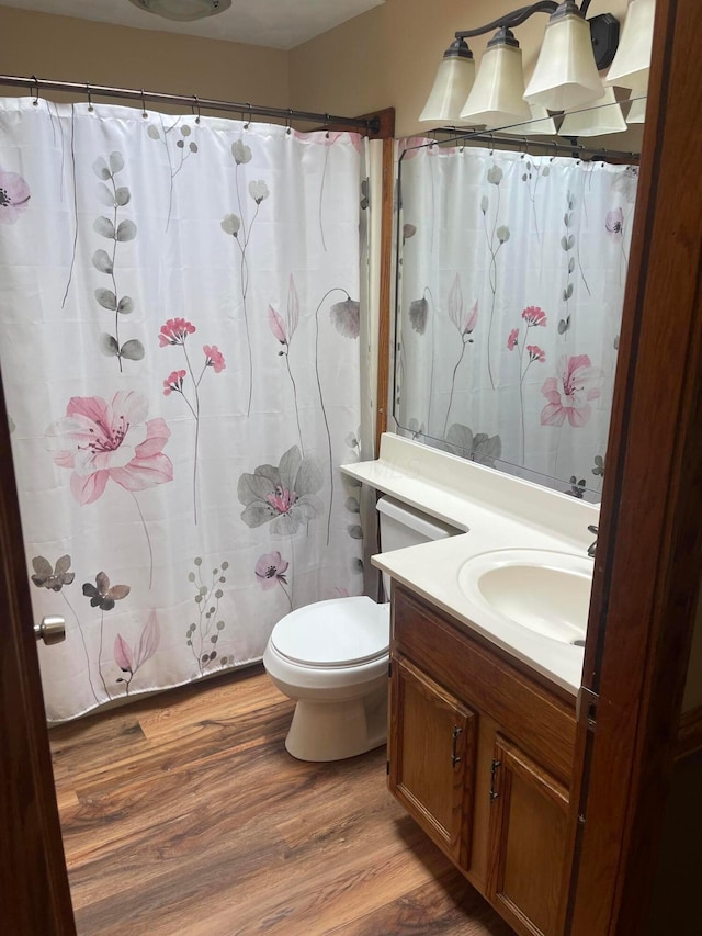 10519 Darby Creek Rd, Orient, OH 43146 - full bath featuring wood finished floors, toilet, vanity, and curtained shower