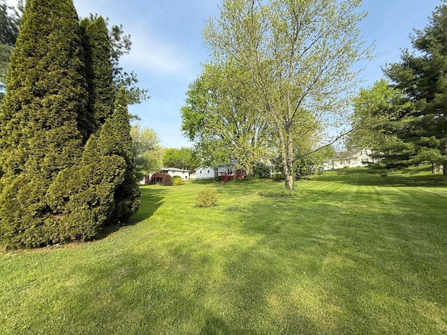 view of yard