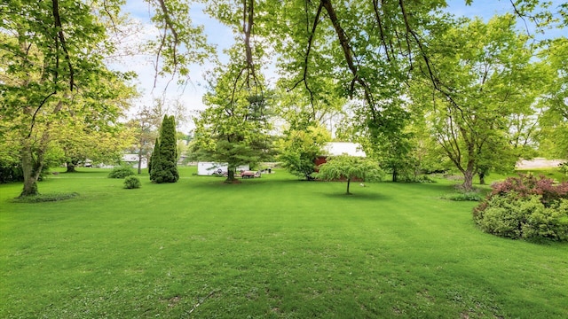 219 W Sheridan Ave, Somerset, OH 43783 - view of green lawn with view of wooded area