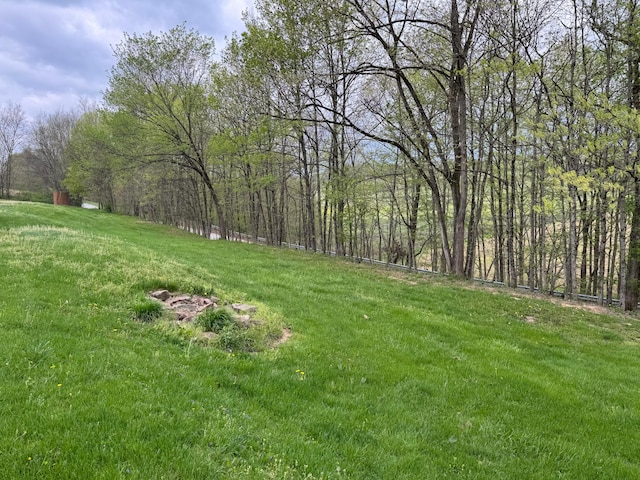 view of yard featuring a view of trees