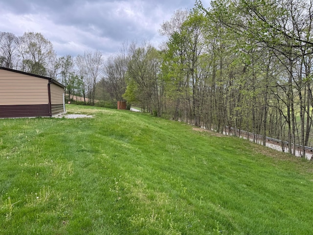 view of yard