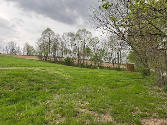 view of yard with a rural view