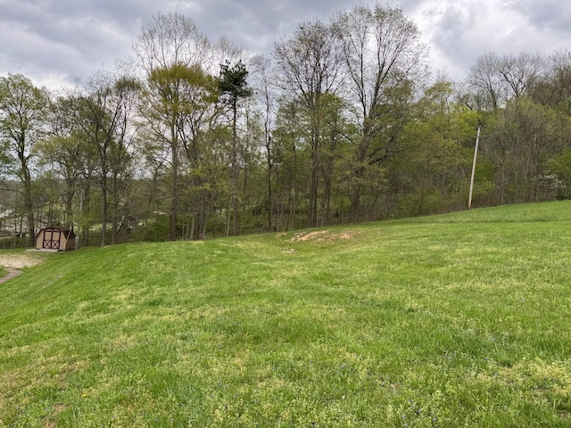 view of yard with an outdoor structure, a wooded view, and a shed