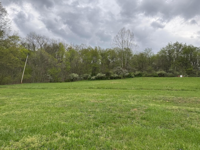 view of yard with a forest view
