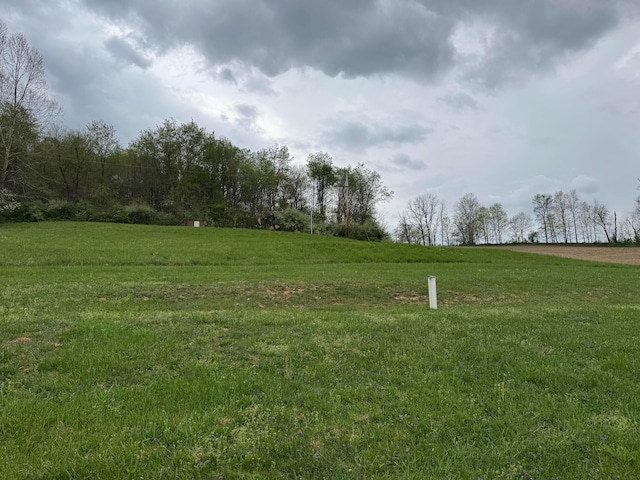 view of yard with a rural view
